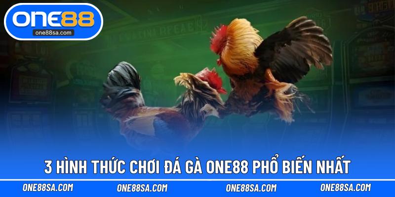 Đá Gà ONE88 – Cá Cược Kịch Tính Với Tỷ Lệ Thưởng Cao