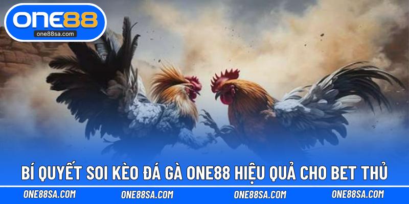 Đá Gà ONE88 – Cá Cược Kịch Tính Với Tỷ Lệ Thưởng Cao