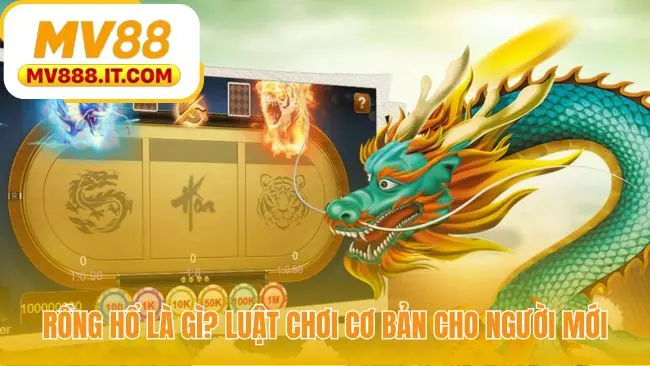 Rồng Hổ - Hướng Dẫn Chơi Trong 2 Phút Cho Người Mới Tại MV88