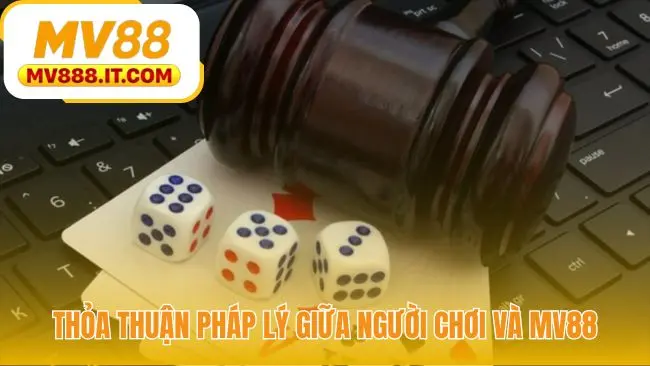 Điều Khoản Điều Kiện MV88 - Thỏa Thuận Pháp Lý Chính Thức