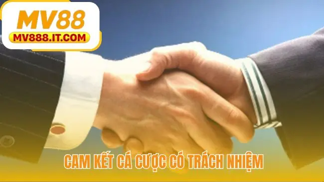 Điều Khoản Điều Kiện MV88 - Thỏa Thuận Pháp Lý Chính Thức