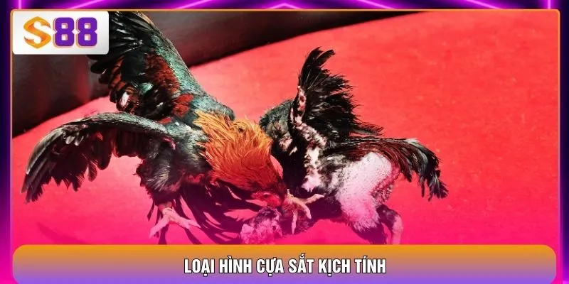 Đá Gà Trực Tiếp - 4 Hình Thức Hấp Dẫn Cho Người Mới